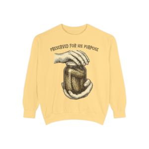 preserved purpose sweatshirt, unisex jumper, religious shirt, inspirational apparel, spiritual clothing